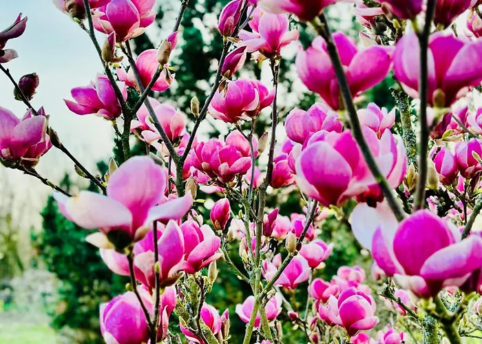 Bauernhofvilla Fuer Frauen - Women Only *